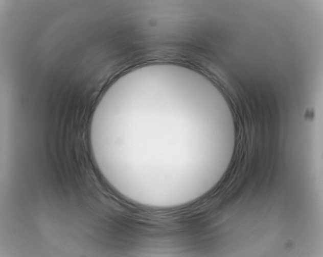 X0000091940604200709051304