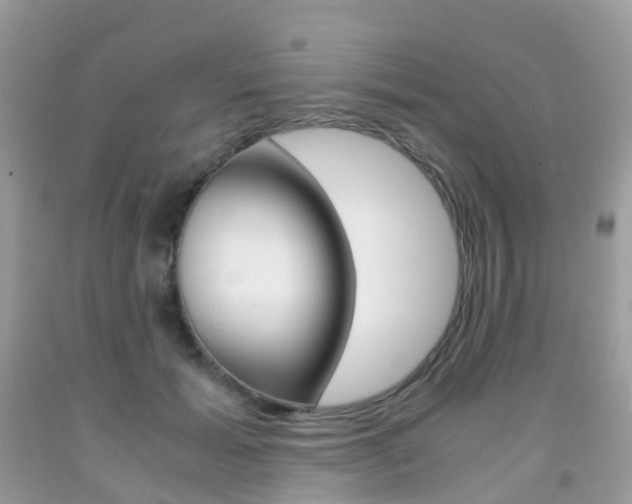 X0000091940605200709051304