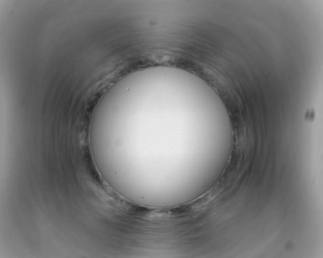 X0000091940606200709051304