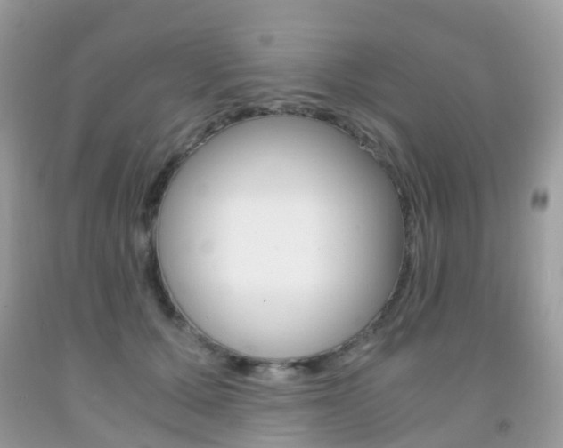 X0000091940607200709051304