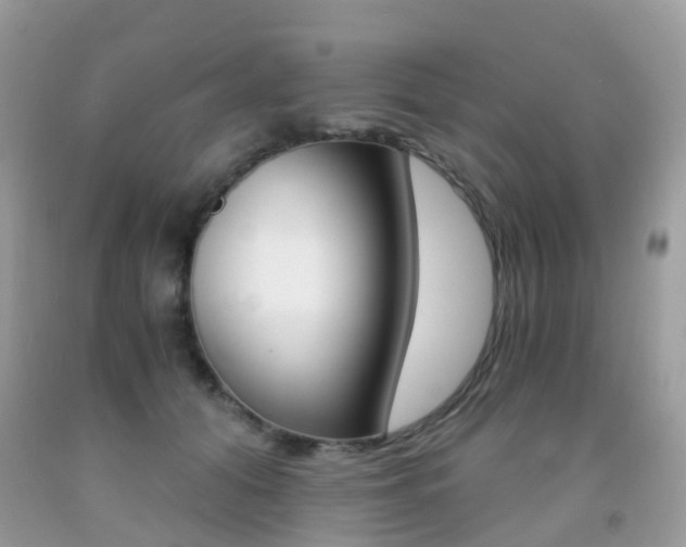 X0000091940608200709051304