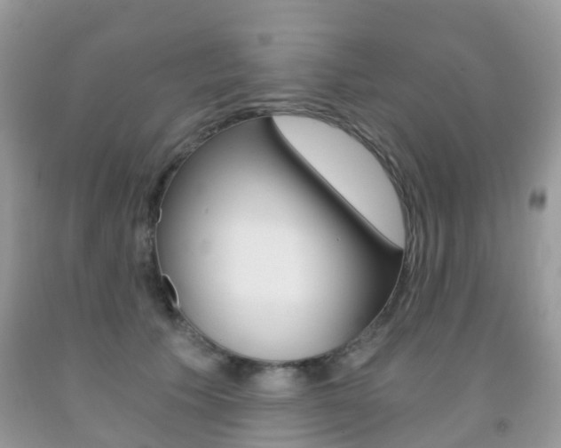 X0000091940609200709051304