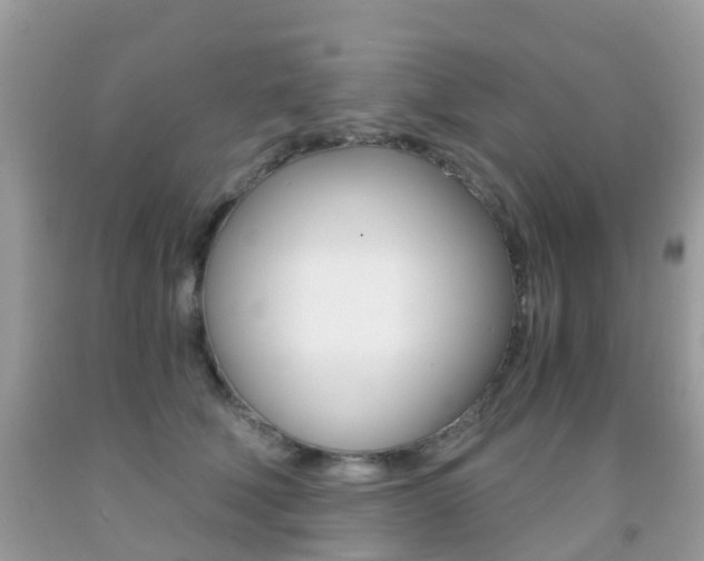 X0000091940610200709051304