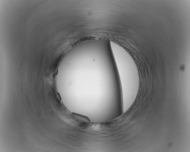X0000091940611200709051304