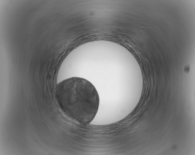 X0000091940613200709051304