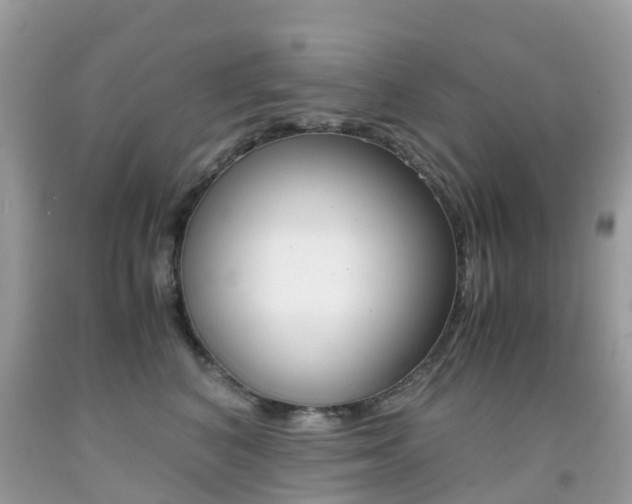 X0000091940616200709051304