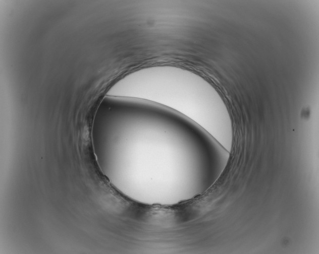 X0000091940617200709051304
