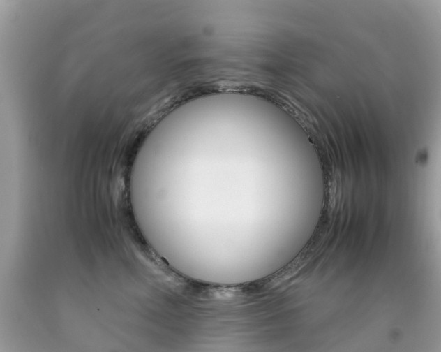 X0000091940618200709051304
