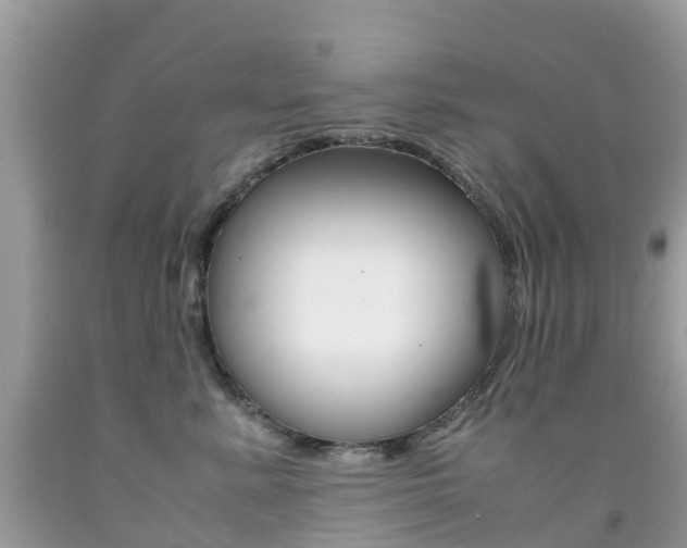 X0000091940619200709051304