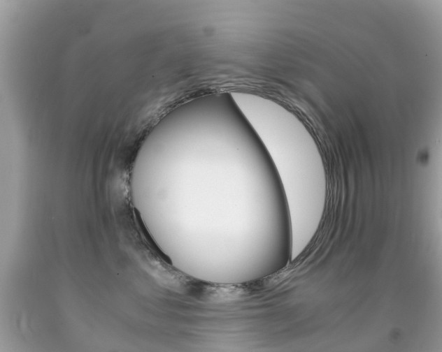 X0000091940621200709051304