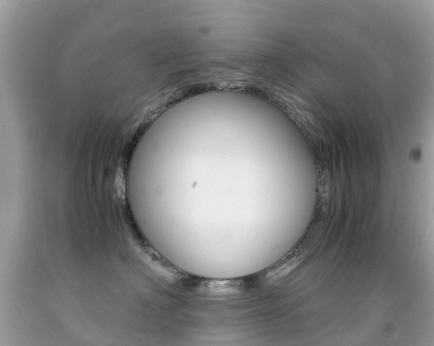 X0000091940622200709051304