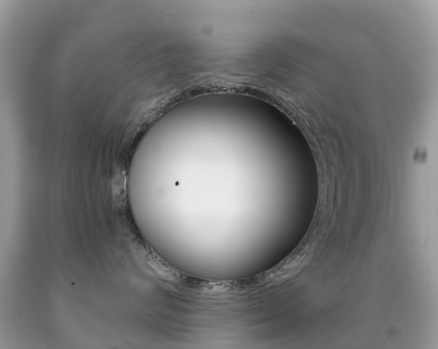 X0000091940624200709051304
