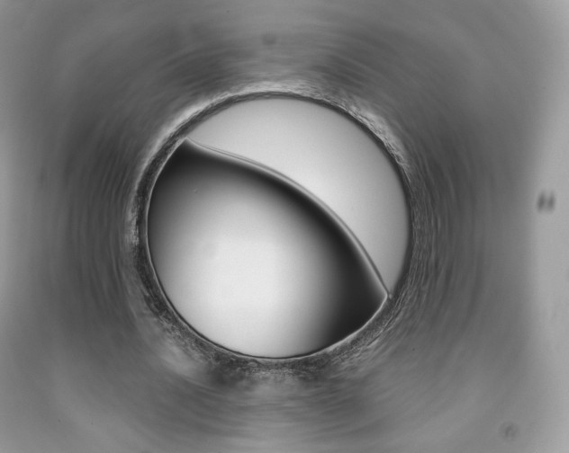 X0000091940628200709051303