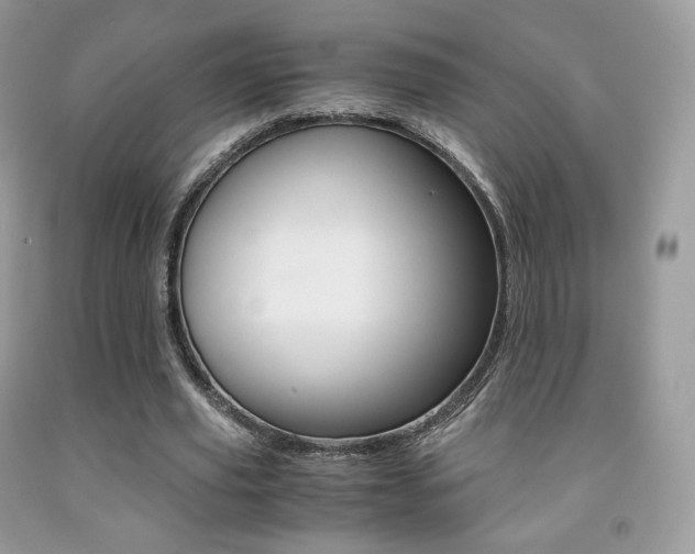 X0000091940629200709051303