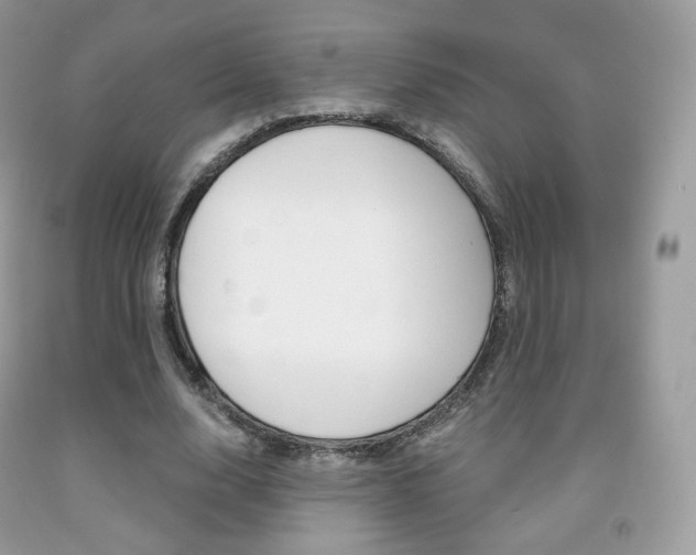 X0000091940632200709051303