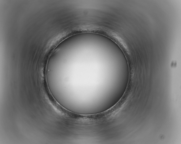 X0000091940633200709051303