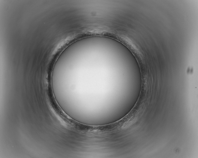 X0000091940634200709051303