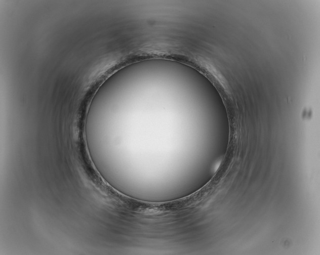 X0000091940635200709051303