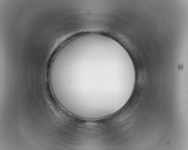 X0000091940636200709051303