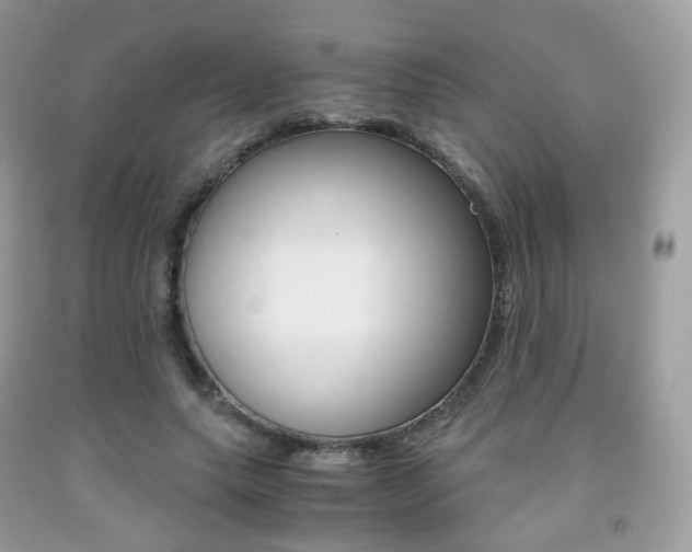 X0000091940639200709051303