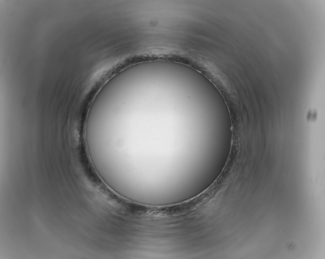 X0000091940640200709051303