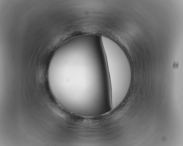 X0000091940641200709051303