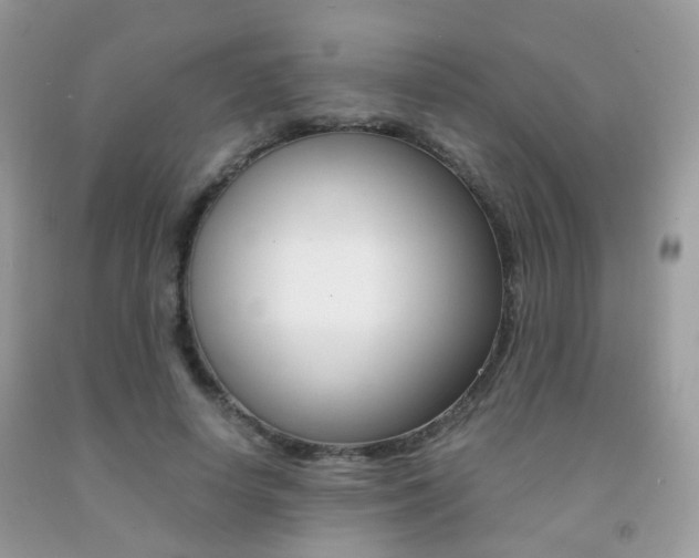 X0000091940642200709051303