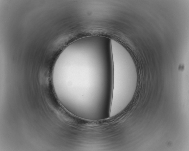 X0000091940644200709051303