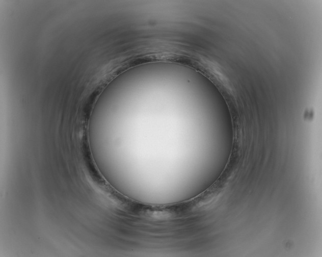X0000091940645200709051303