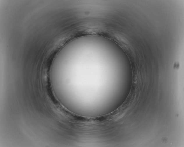 X0000091940646200709051303