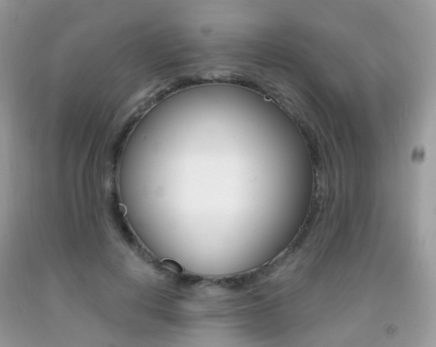 X0000091940648200709051303
