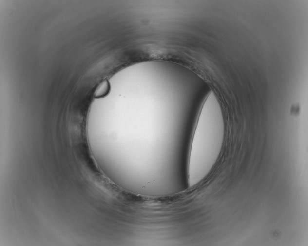 X0000091940650200709051303