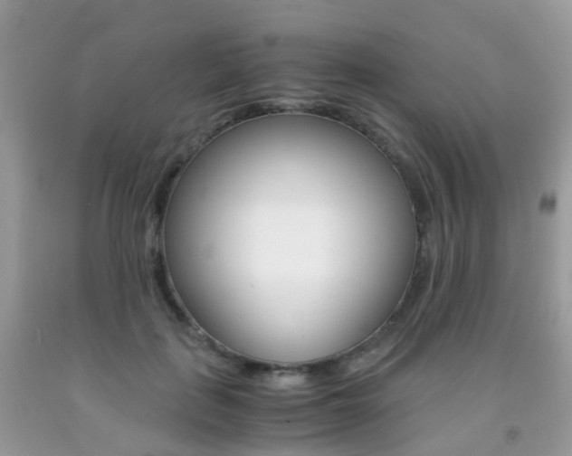X0000091940651200709051303