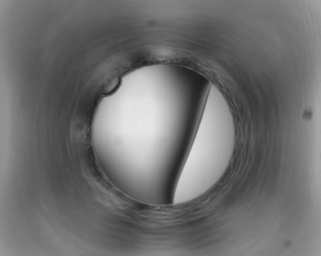 X0000091940653200709051303