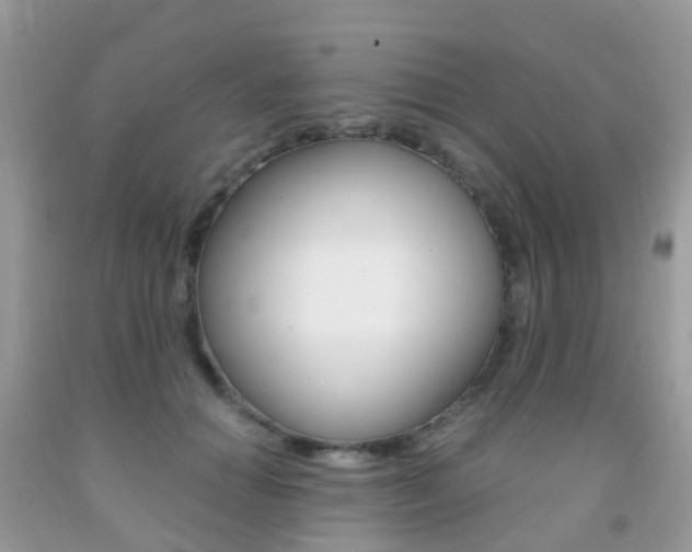 X0000091940654200709051304