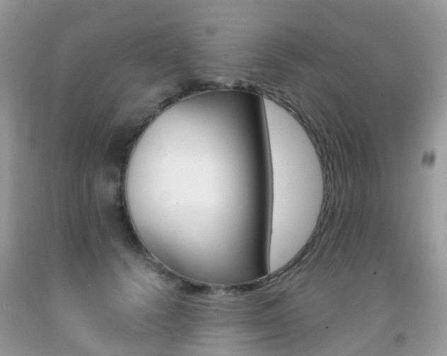 X0000091940656200709051304