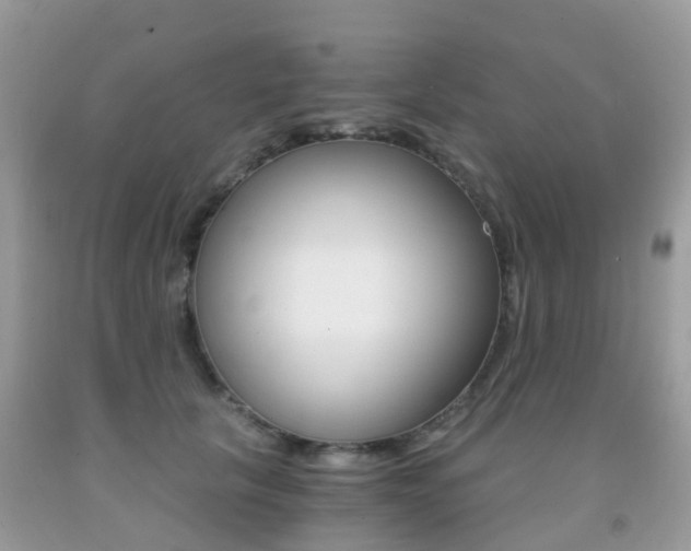 X0000091940657200709051304