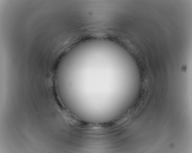 X0000091940658200709051304