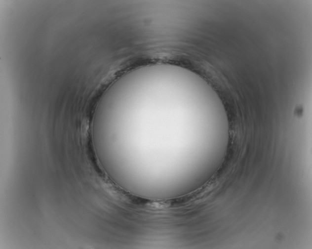 X0000091940660200709051304