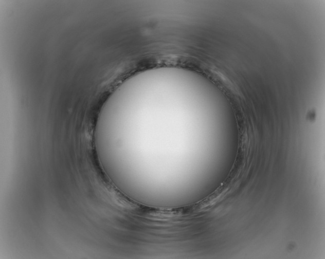X0000091940661200709051304