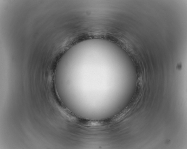 X0000091940662200709051304