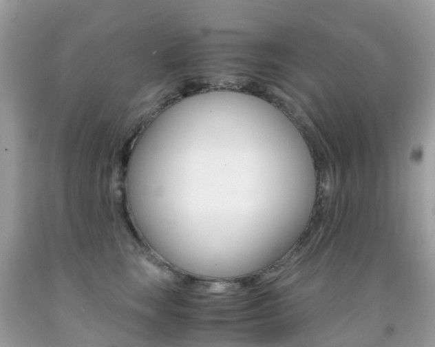 X0000091940663200709051304
