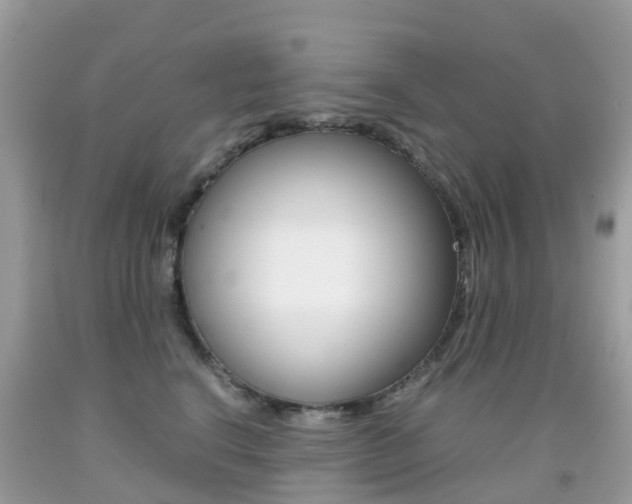 X0000091940664200709051304