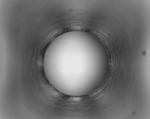 X0000091940665200709051304