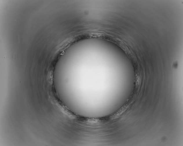 X0000091940666200709051304