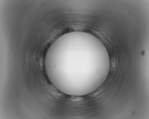 X0000091940667200709051304