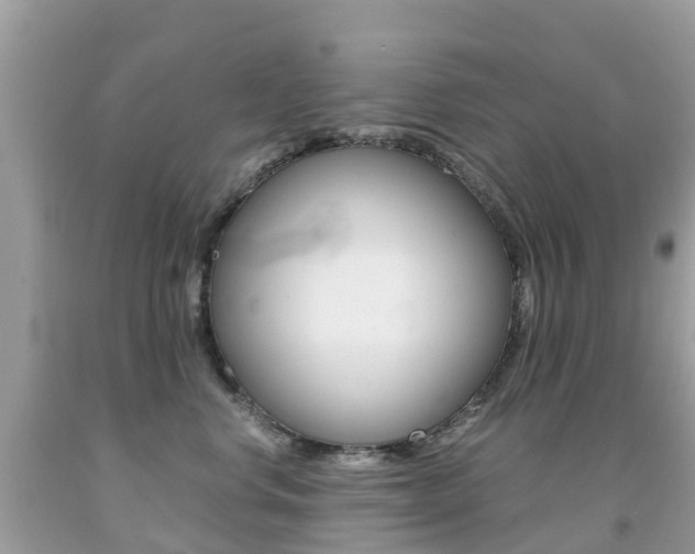 X0000091940668200709051304