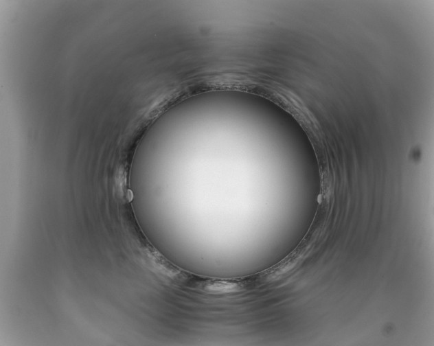 X0000091940669200709051304