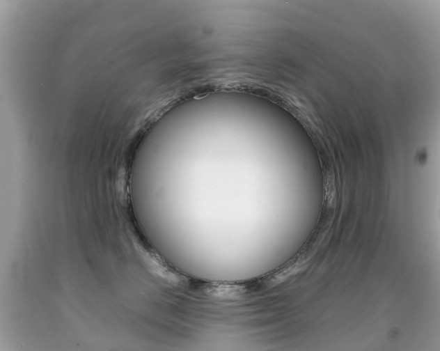 X0000091940670200709051304