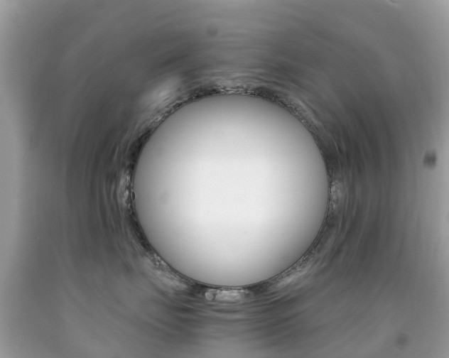 X0000091940671200709051304